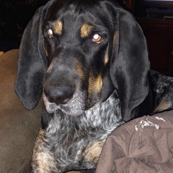 Meet your Buyer/seller/trader 🤗🤗 - Picture 7 of 10